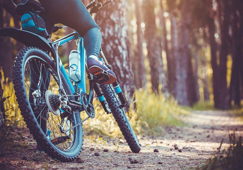 low angle view of cyclist riding mountain bike in the forest at sunset